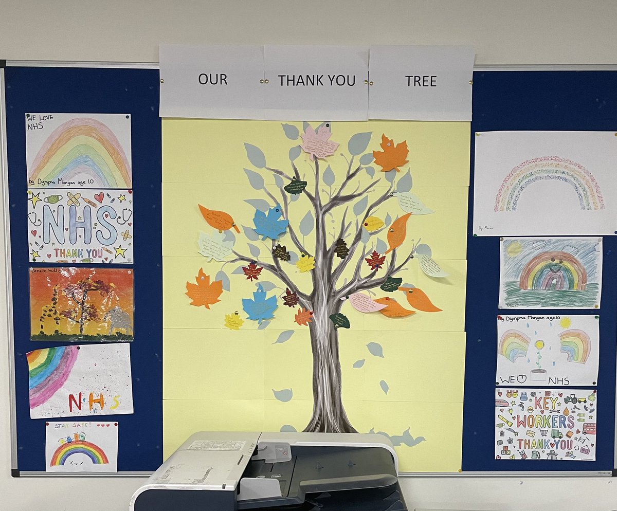 Niamh Ingram (She/Her) tweet media