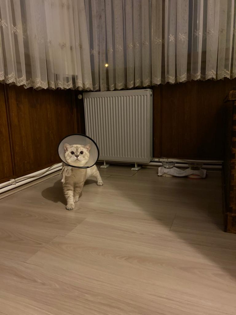 Oyş teyzesi kurban olsunnn <a href="/ssevval_e/">Şevval</a>