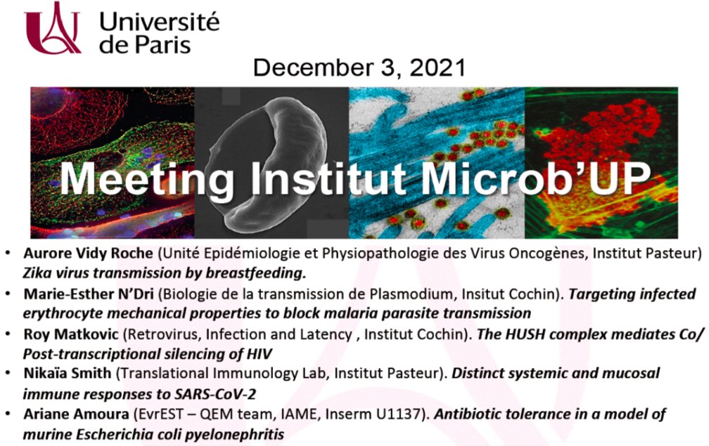 FNiedergang's tweet photo. I was so concentrated listening to the short presentations in symposium #MicrobUP @Univ_Paris
#FaculteSanteUP #FaculteSciencesUP that I forgot to take a picture! congratulations, you did a great job! Aurore VidyRoche, Marie-Esther N'Dri, @MatkovicRoy @nikaia_smith, Ariane Amoura https://t.co/wKDhTD6Vuy