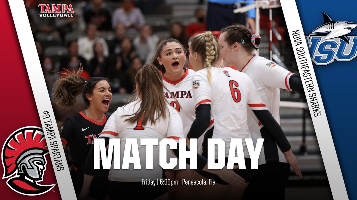 Tampa Volleyball tweet media