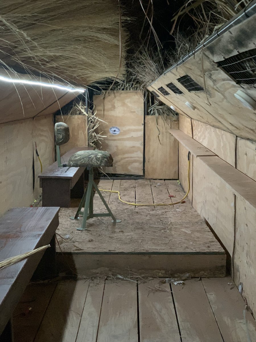 tinaghenry's tweet image. My throne. 🤣🤣🤣
#shortpeopleproblems #drylandoutfitters #huntdlo #sandhillcrane