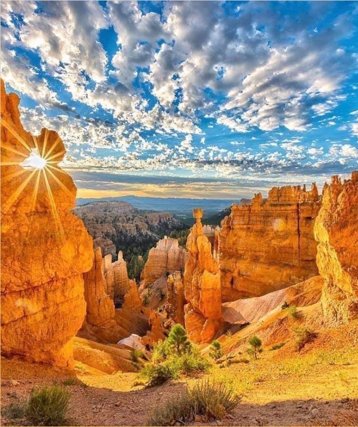 arkanl_neriman's tweet photo. Bryce Canyon National Park.. https://t.co/fgZWw68PGa