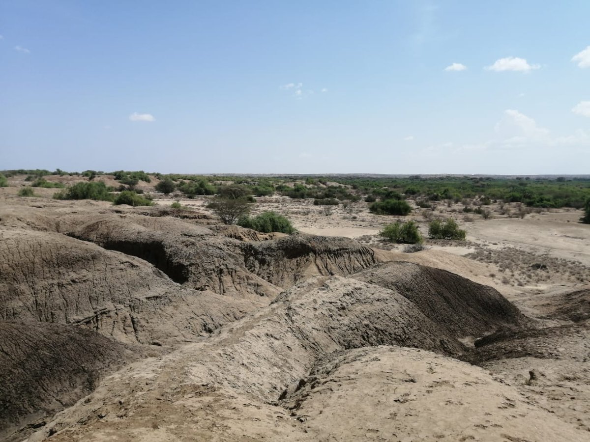 Turkana Land (@turkanaland) on Twitter photo Beautiful shots from the cradle of Mankind. Thank you <a href="/borgesexplorer/">Alberto Borges</a> <a href="/explorersclubk/">EXPLORER'S CLUB (K)</a> for your visit #Exploreturkana #Tobongulore2021 #Welcomebackhome
#insearchoftheunknown
#expeditionsexploresclub
<a href="/mercykiyonga/">Ekaale Mercy</a> <a href="/thomseba/">Thomas Kipseba</a> <a href="/NakaruHellen/">Nakaru Hellen</a> <a href="/Akirunancy/">Discover Turkana with Akiru.</a> <a href="/Min_TourismKE/">Ministry of Tourism and Wildlife</a> <a href="/TurkanaCountyKE/">County Government of Turkana</a> Beautiful shots from the cradle of Mankind. Thank you <a href="/borgesexplorer/">Alberto Borges</a> <a href="/explorersclubk/">EXPLORER'S CLUB (K)</a> for your visit #Exploreturkana #Tobongulore2021 #Welcomebackhome
#insearchoftheunknown
#expeditionsexploresclub
<a href="/mercykiyonga/">Ekaale Mercy</a> <a href="/thomseba/">Thomas Kipseba</a> <a href="/NakaruHellen/">Nakaru Hellen</a> <a href="/Akirunancy/">Discover Turkana with Akiru.</a> <a href="/Min_TourismKE/">Ministry of Tourism and Wildlife</a> <a href="/TurkanaCountyKE/">County Government of Turkana</a>