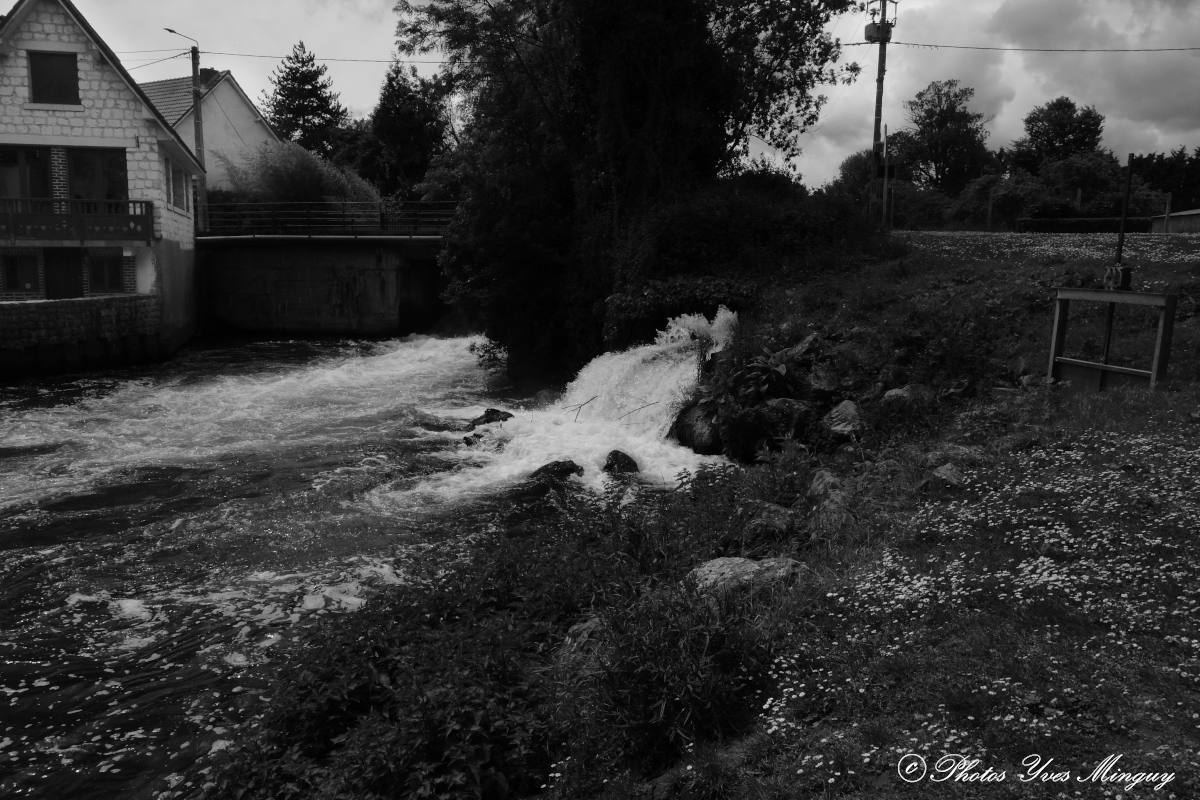 photos_yves's tweet photo. La Scarpe à Fampoux (déviée) alimentait "La turbine" Sony RX100 Monochrome #photography #photosyves #photography #blackandwhitephotography #fampoux https://t.co/O5VhPY88Nk