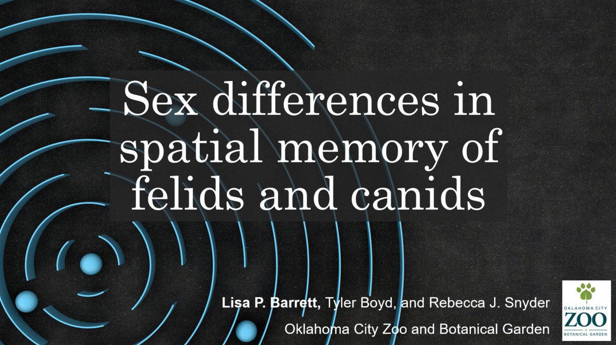 It was fun to share our research at <a href="/iscp2020/">ISCP2020</a> today! 🐅🐈 🐺🧠🤔<a href="/okczoo/">Oklahoma City Zoo and Botanical Garden</a> #animalcognition