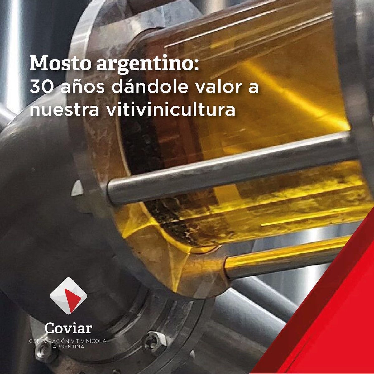 MOSTO ARGENTINO: 30 AÑOS DÁNDOLE VALOR A NUESTRA VITIVINICULTURA

En 30 años Argentina logró con su Jugo de Uva Concentrado (JUC), articulando políticas públicas y privadas, convertirse en el mayor exportador mundial en volumen y segundo en facturación 👏🏼