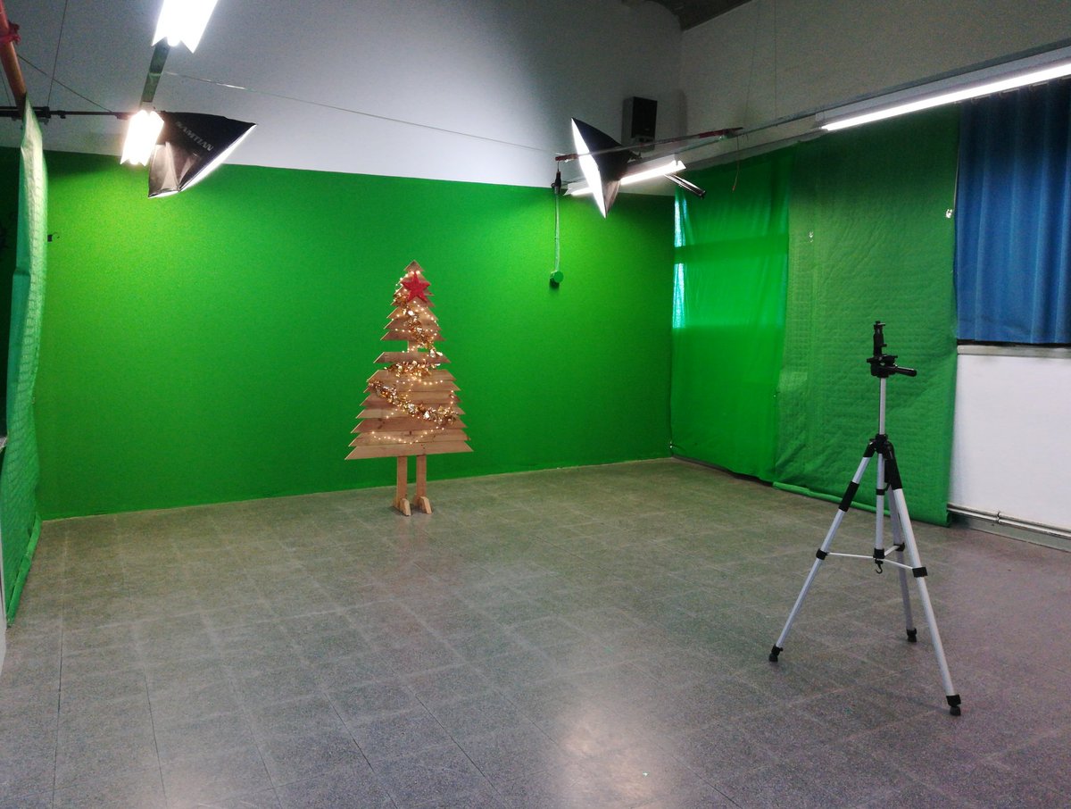 Cristina Mestre tweet media