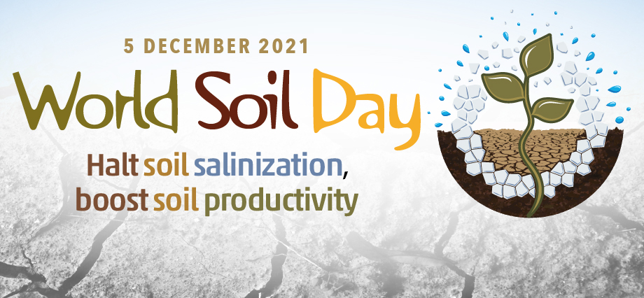 agriculture_ie's tweet photo. 📢Today is @FAO’s #WorldSoilDay 🐜🌱

This year's theme is ‘halt soil salinization, boost soil productivity’, and our farmers are instrumental in the maintenance of #SoilHealth and #SoilBiodiversity in producing #sustainable crops all year round 🌱🐜

➡️https://t.co/n5mvOJzDMf https://t.co/ZIcL0UtMbB