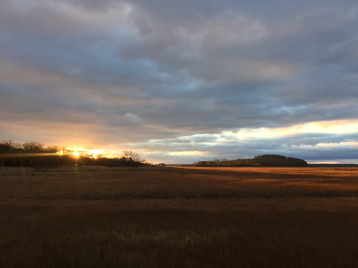 Patrick J. Lynch tweet media