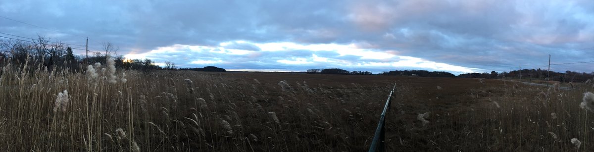 Today is my last day as Director of Policy and Planning for <a href="/ipswich_river/">Ipswich River Watershed Association</a>. Sharing my final blog post with some reflections on the last two years, plus a beautiful sunrise over the Great Marsh this morning. Cheers to the #IpswichRiver! ipswichriver.org/12/02/cheers-f… #EndangeredIpswich