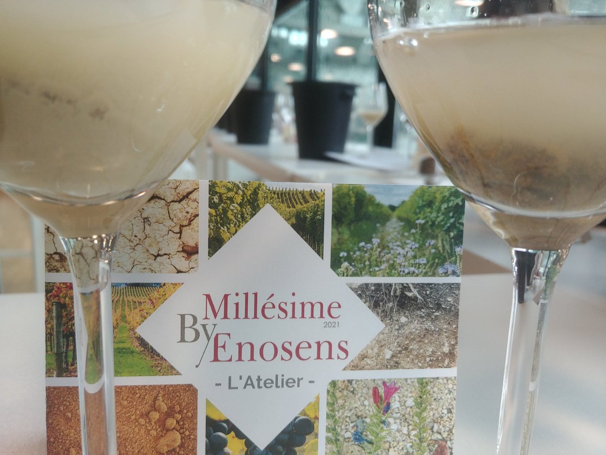 Laura Bernaulte tweet media