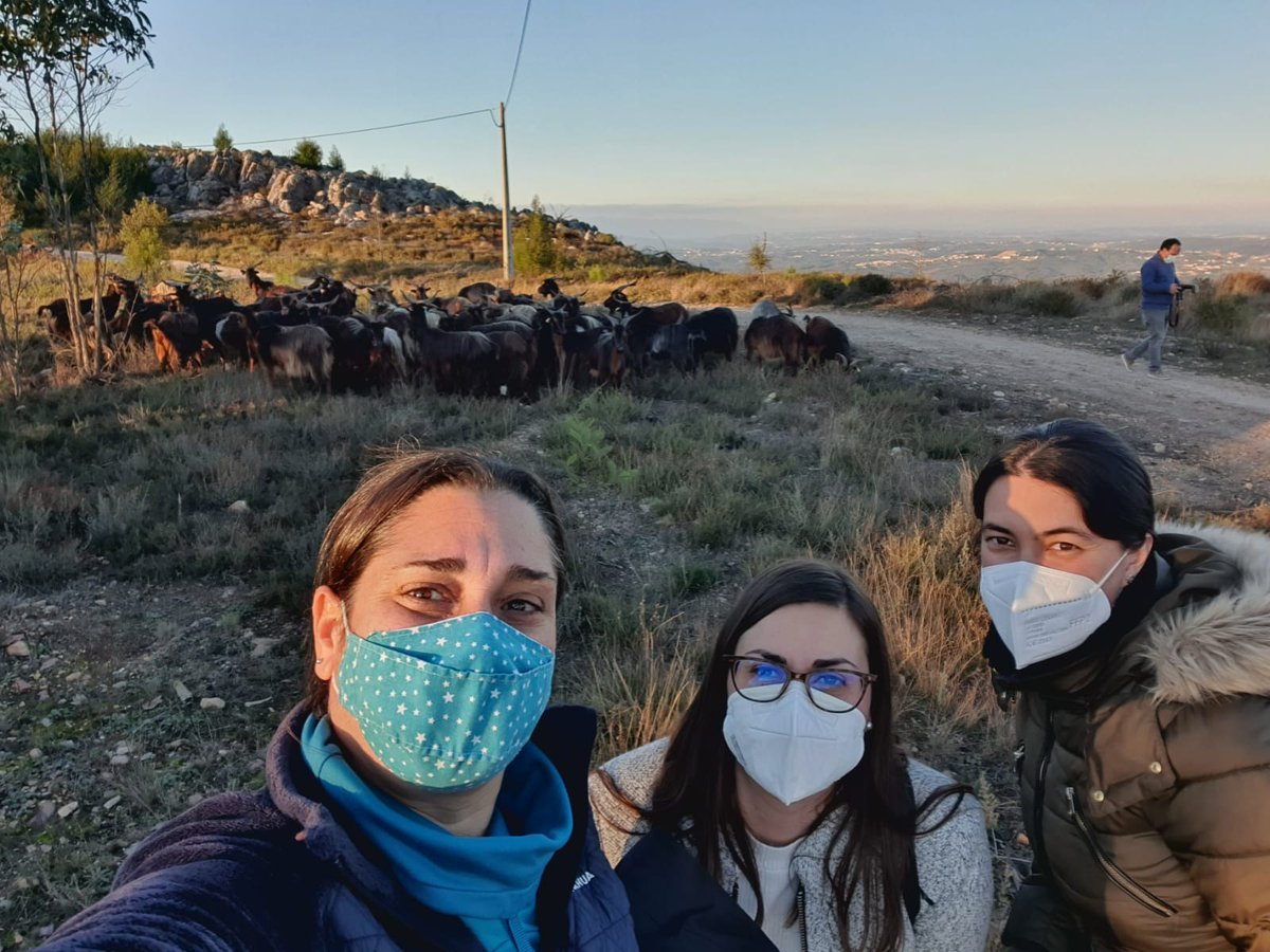 AIDERGC's tweet photo. #AIDER junto a #Proquenor y en colaboración con @GranCanariaCab participa en el último intercambio del Proyecto @Erasmus+ #FireShepherds" en Portugal y Extremadura. Visitamos experiencias locales de ganadería extensiva y desarrollo rural para asegurar la gestión del territorio. https://t.co/mhce0S1boJ