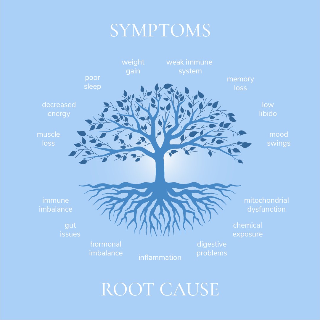 thebiostation's tweet photo. Our bodies are an integrated system where one condition can have several root causes. https://t.co/cIEqMzLdL9