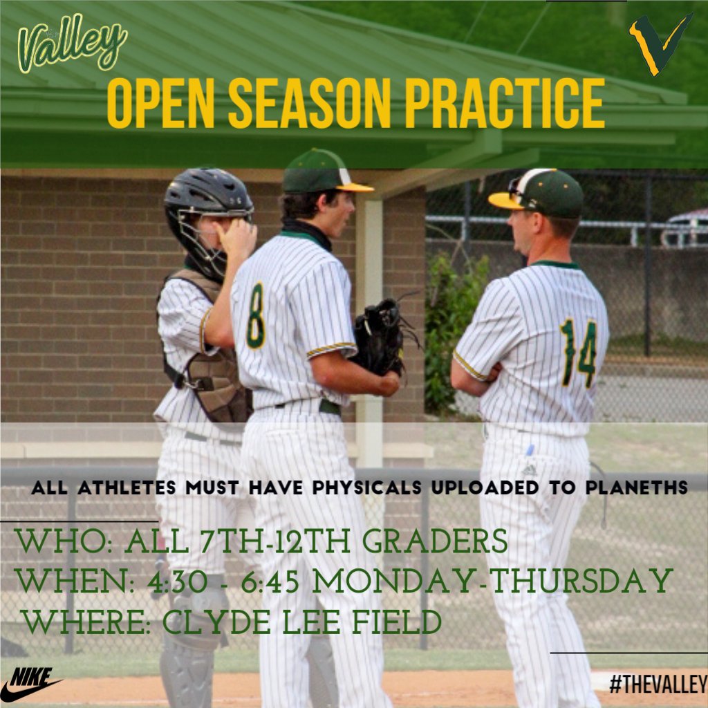 Spring Valley Vikings Baseball tweet media