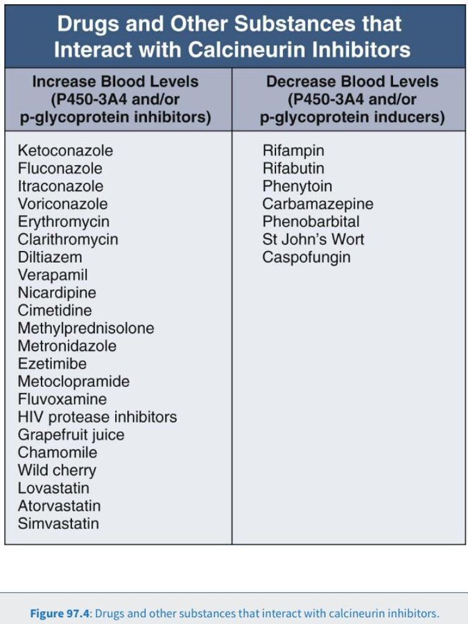edgarvlermamd's tweet photo. Transplant 101: Calcineurin inhibitors Drug Interactions #Nephpearls (From Comprehensive Clinical Nephrology) https://t.co/ChNy4ULXJU
