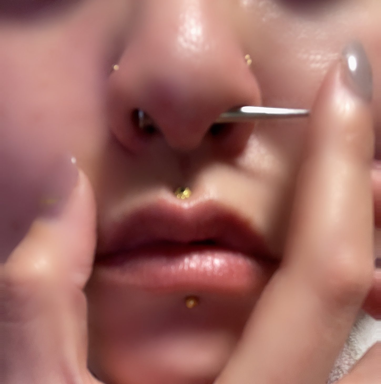 P子 セプタムちゃん 6g 4gへ セプタム Septum 鼻ピアス 鼻ピ 見えないピアスほど可愛い 牛さんですけど ピアス好き T Co 8mo8nnojhh Twitter