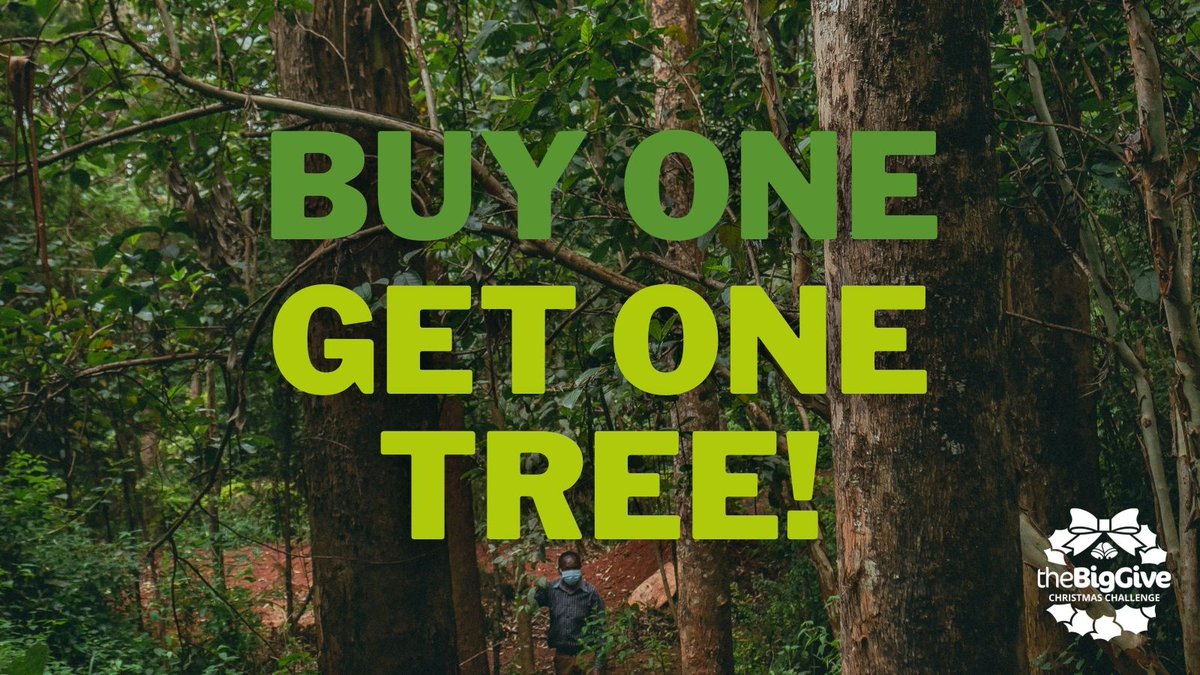 International Tree Foundation tweet media