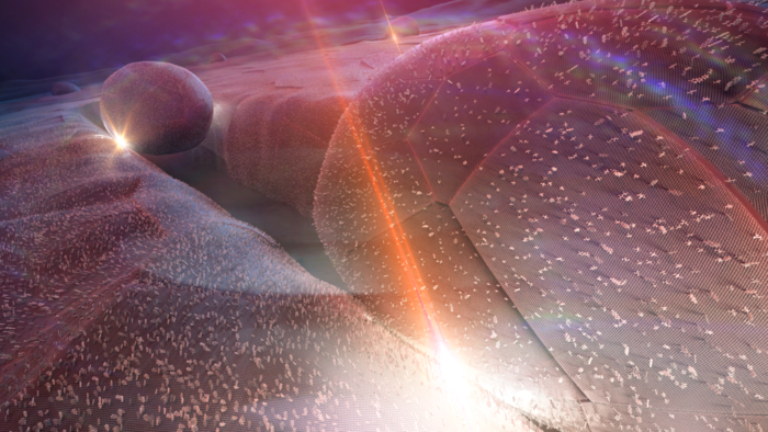 rssmaterial's tweet photo. Molecular device turns infrared into visible light
https://t.co/kxDLntH075 https://t.co/l35OhyadVa