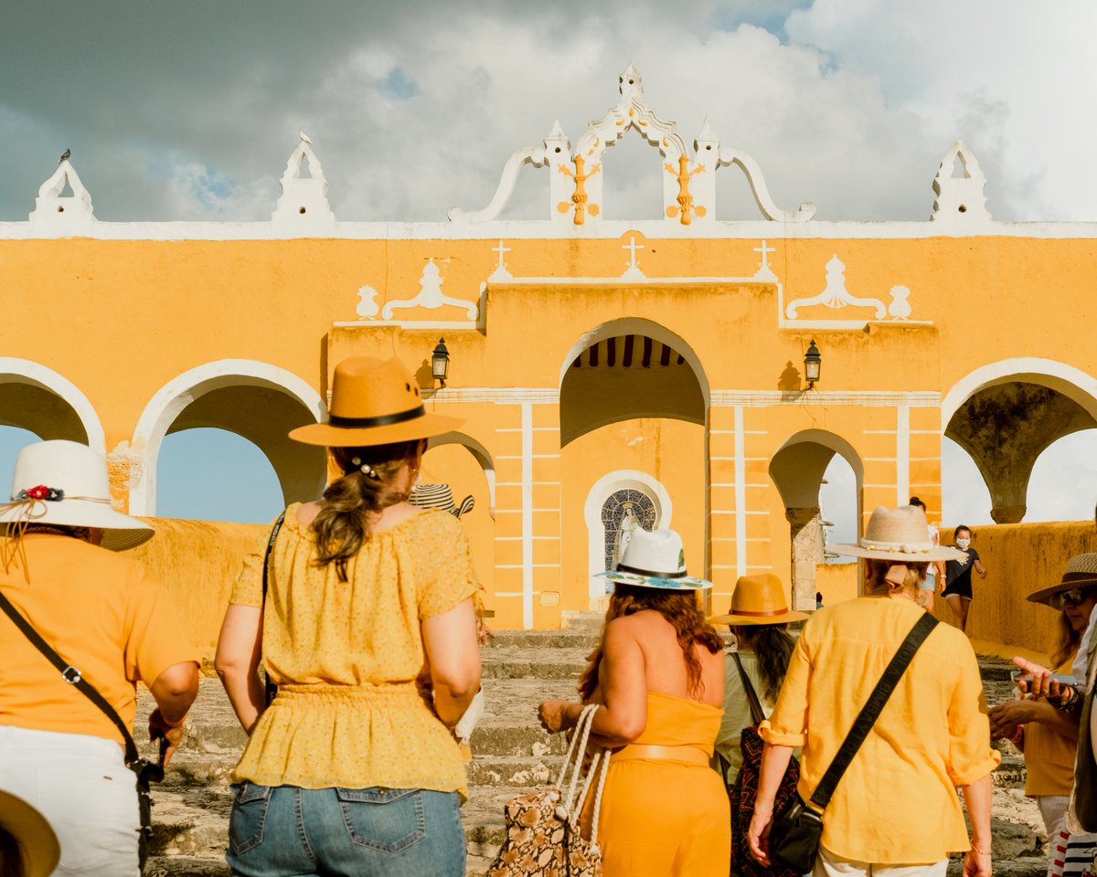 zachtheleon's tweet photo. Yellows in Mexico https://t.co/S6T1F9orII