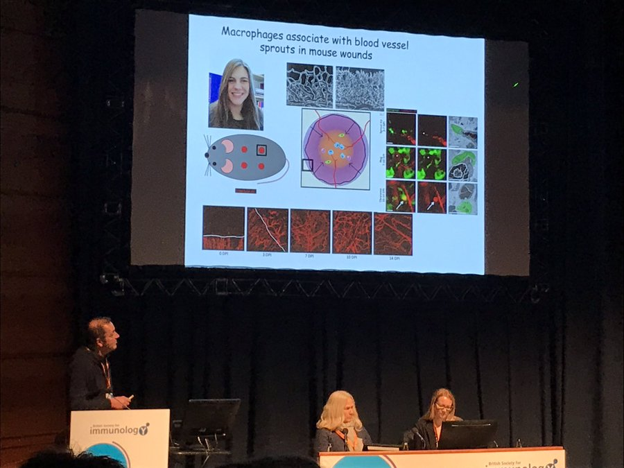 Bristol Biochemistry (@bristolbiochem) on Twitter photo And sticking with the BSI, thanks to former Bristol student <a href="/MillwardLindsey/">Lindsey Millward</a> for sharing this image of Paul Martin giving his presentation this week! And sticking with the BSI, thanks to former Bristol student <a href="/MillwardLindsey/">Lindsey Millward</a> for sharing this image of Paul Martin giving his presentation this week!