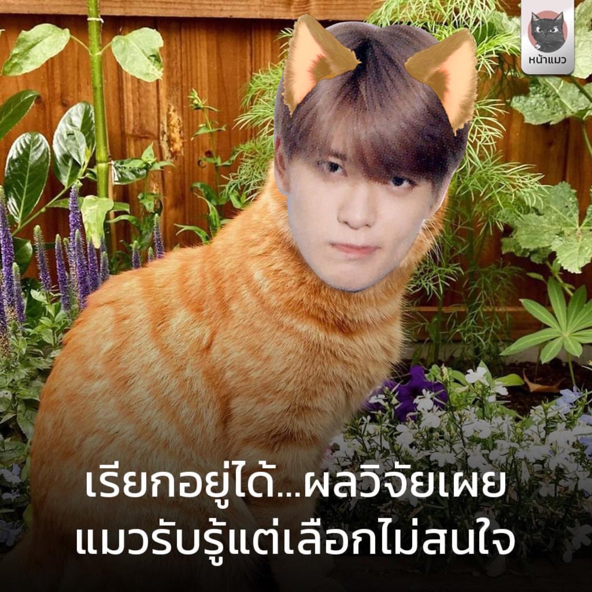 เข้าใจนะพวกทาส