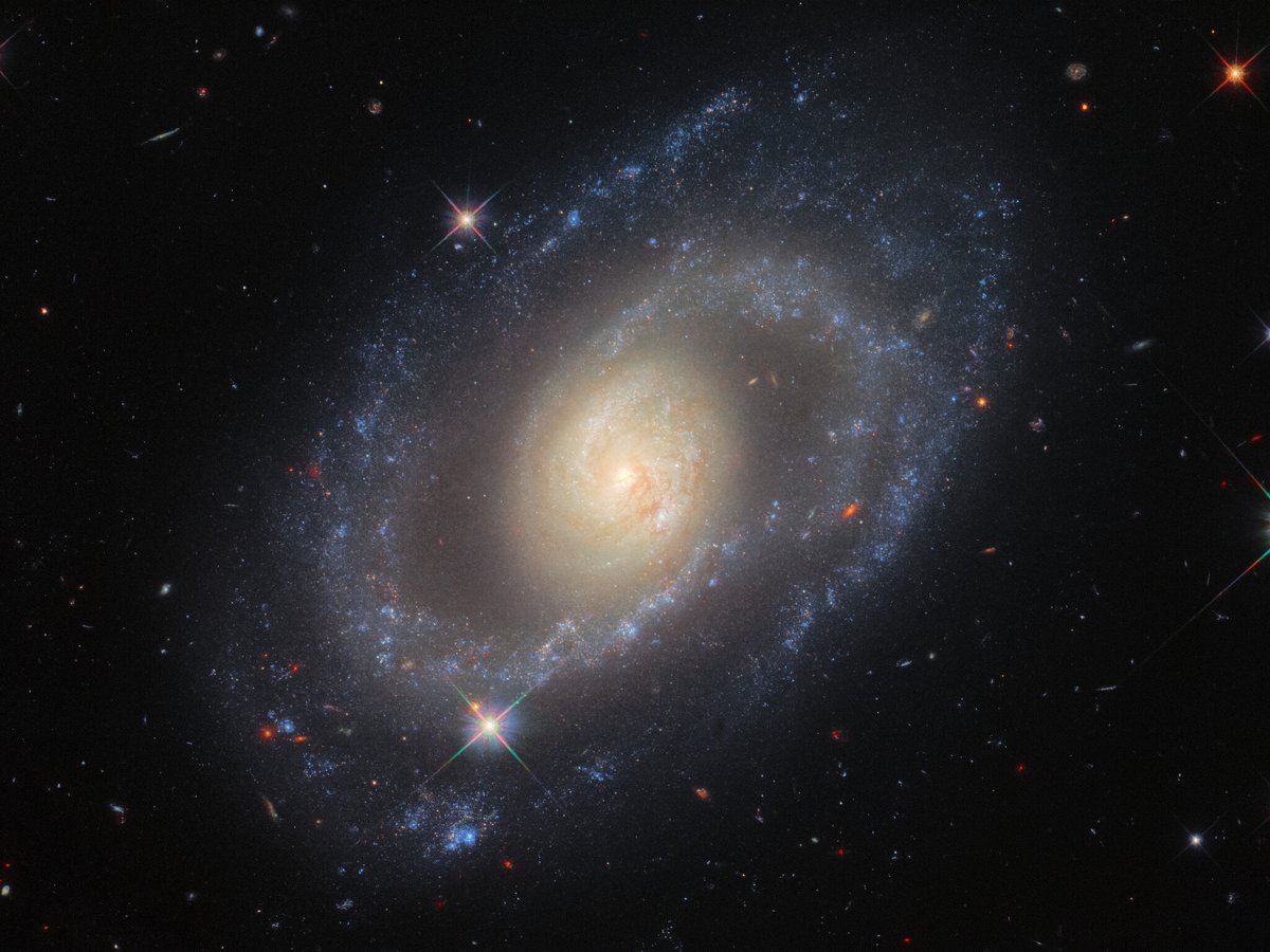 NASAHubble's tweet photo. Roughly 120 million light-years away from Earth, the spiral galaxy Mrk 1337 is helping astronomers learn more about how fast the universe is expanding.

Learn more about this #HubbleFriday image: https://t.co/cpiXMam0xf https://t.co/yLqkBNSRAC