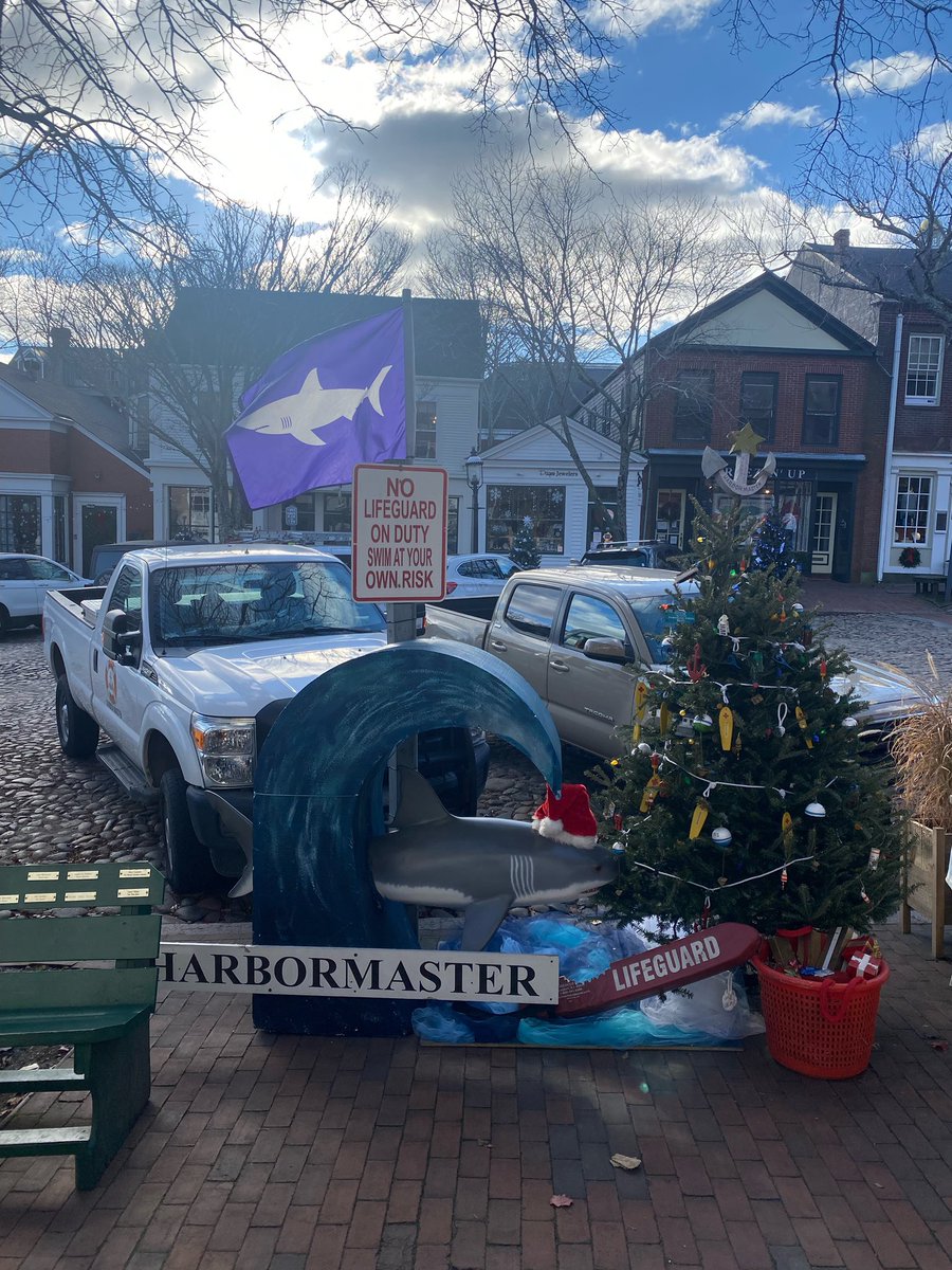 ackharbormaster's tweet photo. Come check out our tree on Main St. In front of Lemon Press! #strollweekend #festive #itsawinner #checkitout #ackstroll https://t.co/ugzg4iUeqd