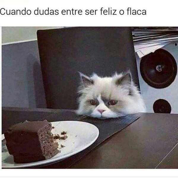 PauloCoelhoDice's tweet photo. https://t.co/qaNWgq69z0