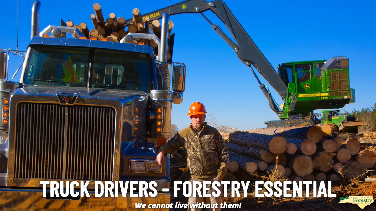 NCForestryAssociation tweet media