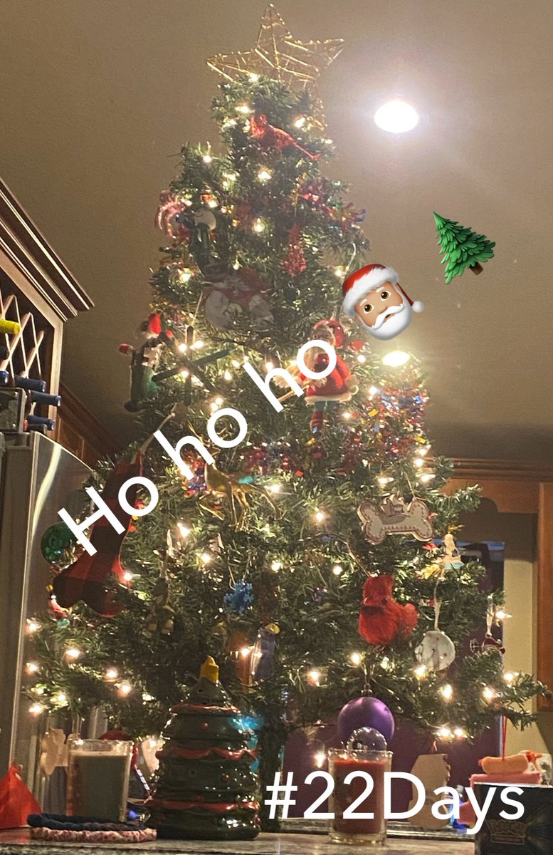 AshleyJane144's tweet photo. Christmas is coming. Tell me what you want this year! #hohoho #25DaysOfChristmas #tree #presents #holidays #love #babymakingseason #treesoftwitter #santa #star https://t.co/GlPKIgOe3f