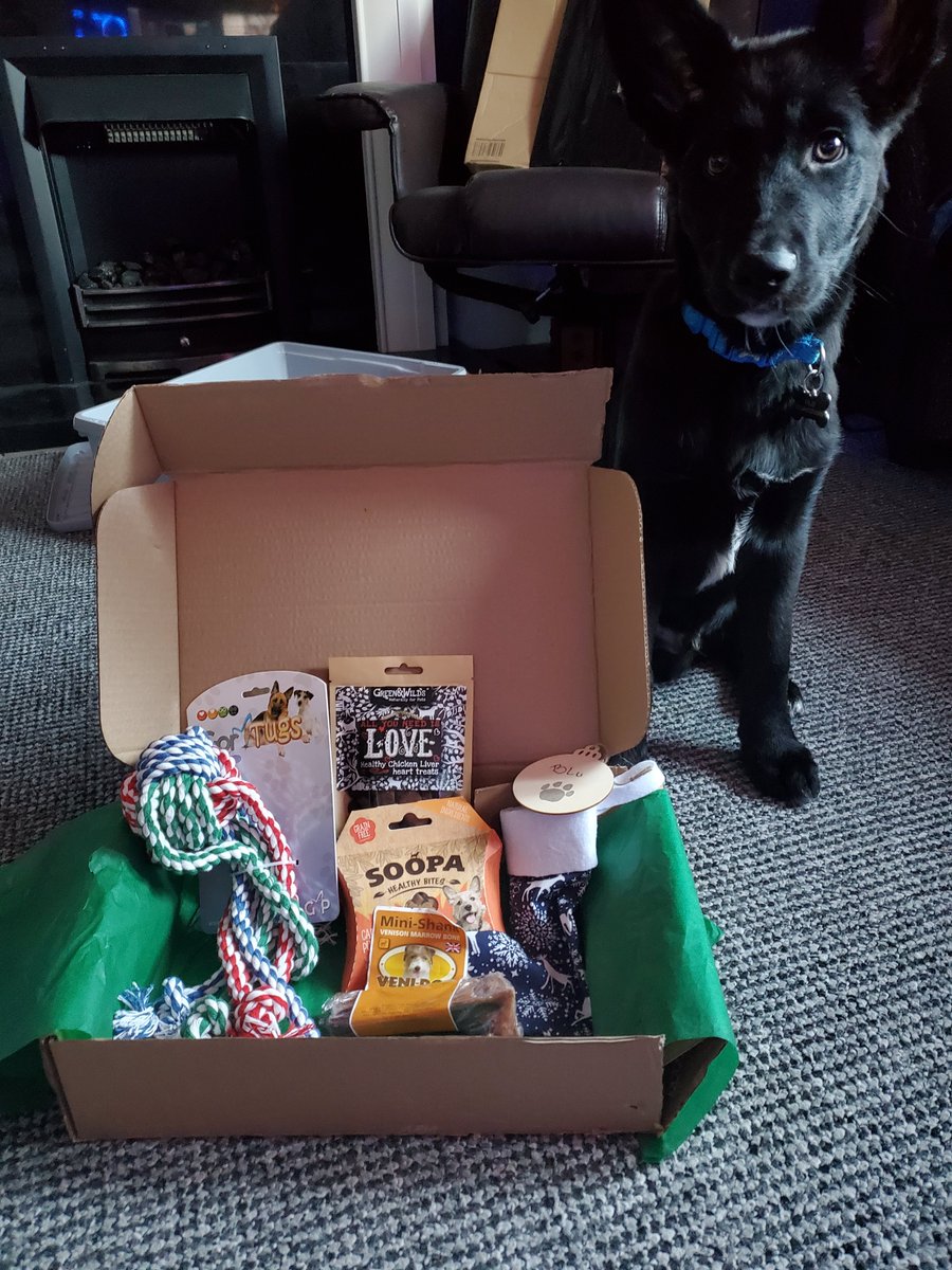 Keeb97's tweet photo. #thetailwaggerbox He couldn't wait long to dig in, he got the marrow bone right after these pics @The_Tail_Wagger https://t.co/Ca53iLm84H