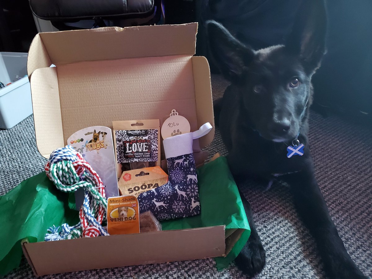 Keeb97's tweet photo. #thetailwaggerbox He couldn't wait long to dig in, he got the marrow bone right after these pics @The_Tail_Wagger https://t.co/Ca53iLm84H
