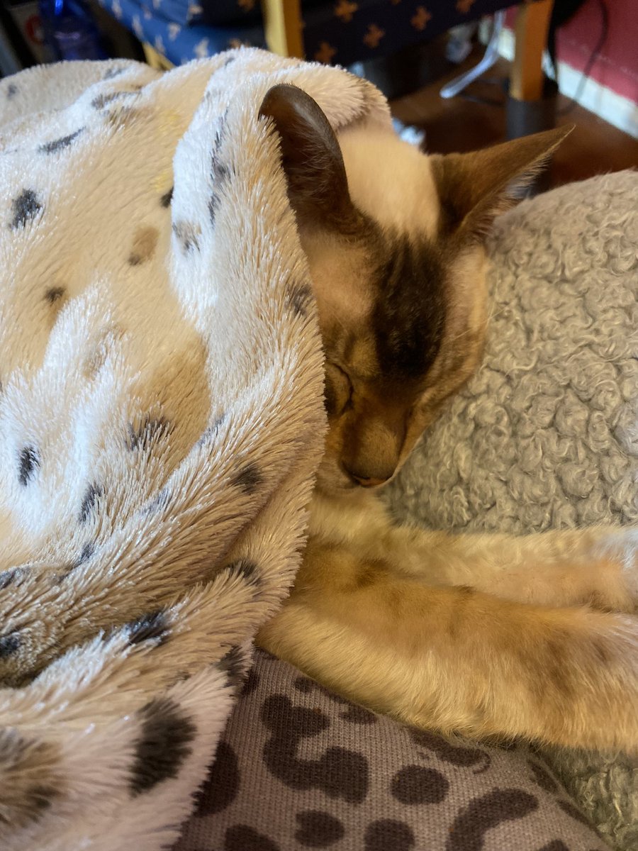 Marguerite Wilkinson tweet media