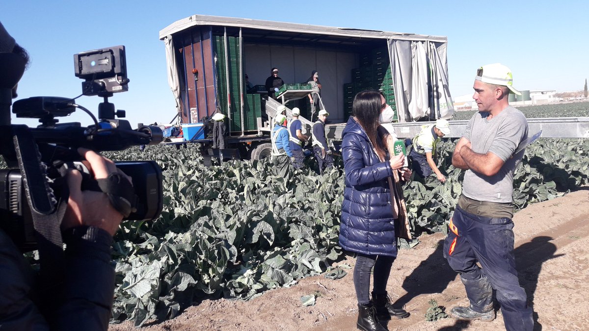 angelherrerasa3's tweet photo. @Maria__HG.#AD y s us profesionales.#Llevando el sol de Andalucía a todos los rincones,ya sea con la coliflor o con cualquier otro tema,q requiera de su aportación.#S.primario y M.Rural con AD,GRACIAS DE CORAZÓN,x la difusión y la preocupación nuestra tierra os necesita,sois sol. https://t.co/ifPl14WZNU