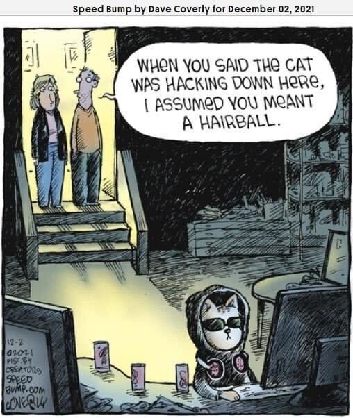 headinthebooth's tweet image. Happy Friday #HackerFam - just a little something to make you smile.