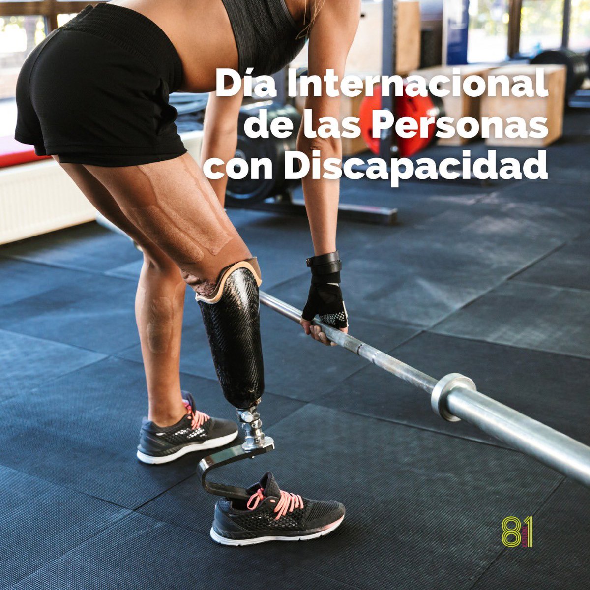 Estudio81MX's tweet photo. Es importante ayudar a las personas con discapacidad a integrarse en los clubs deportivos y equipos deportivos corrientes, tratar de tú a tú con el resto de miembros del club. Hay que conseguir que los deportes comunes sean también para las personas con discapacidad. https://t.co/4AqLezpH9D