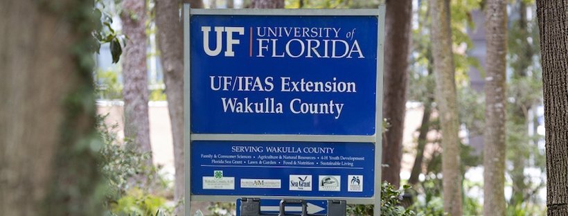 CAREER OPENING!! CAREER OPENING!! CAREER OPENING!!!
UF/IFAS Wakulla County Extension Director (CED) and Extension Agent II, III, or IV
APPLY AT LINK BELOW ONLY (copy link and paste into search browser - Continued job description)
explore.jobs.ufl.edu/en-us/job/5191…
CLOSE: Dec 15, 2021