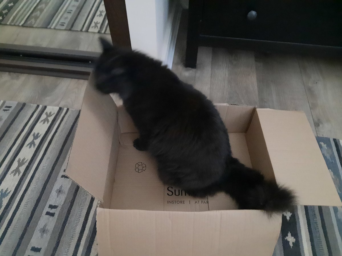 peakshiker's tweet photo. The snuggle and box season is officially open 😂 #CatsOnTwitter #catanddog #boxtroll #catinabox #christmasiscoming https://t.co/E8yR3WYx6e