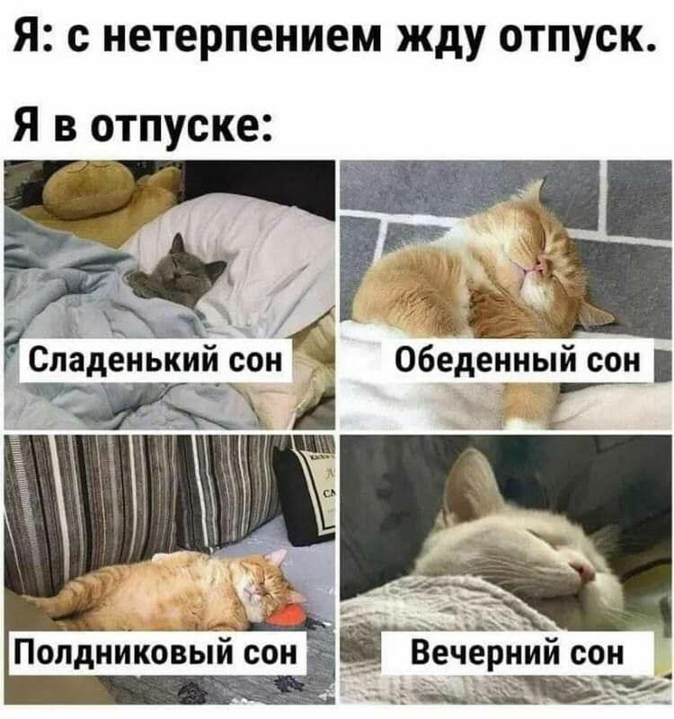 me: looking forward to my vacation

me on my vacation:
sweet sleep
lunch nap
afternoon nap
evening sleep