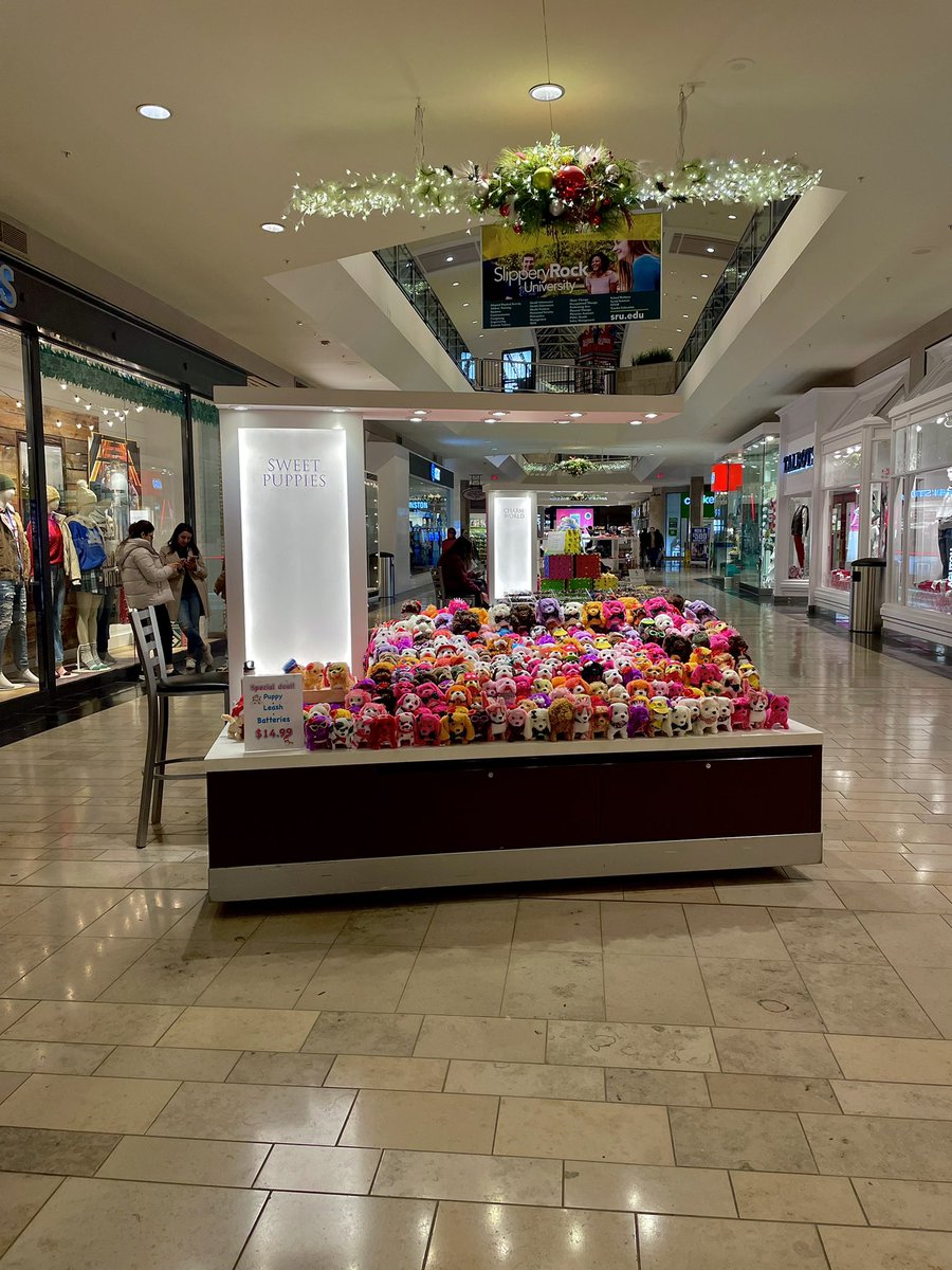 sufferingpoodle's tweet photo. don't text. i'm in my safe space (the sweet puppies kiosk at ross park mall). https://t.co/Kho0XJNwF5