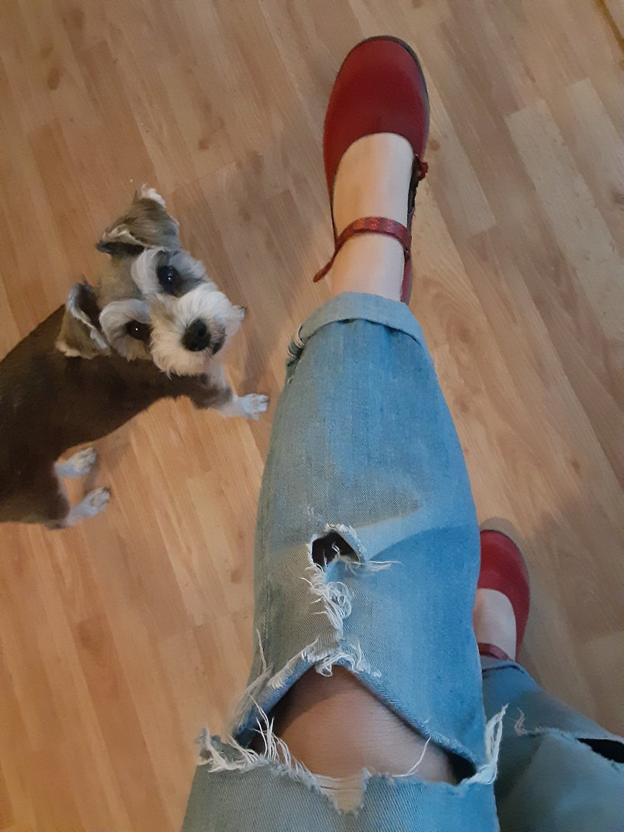 QueenInCalico's tweet image. When you love your old jeans too much to let them go #staples #recycled