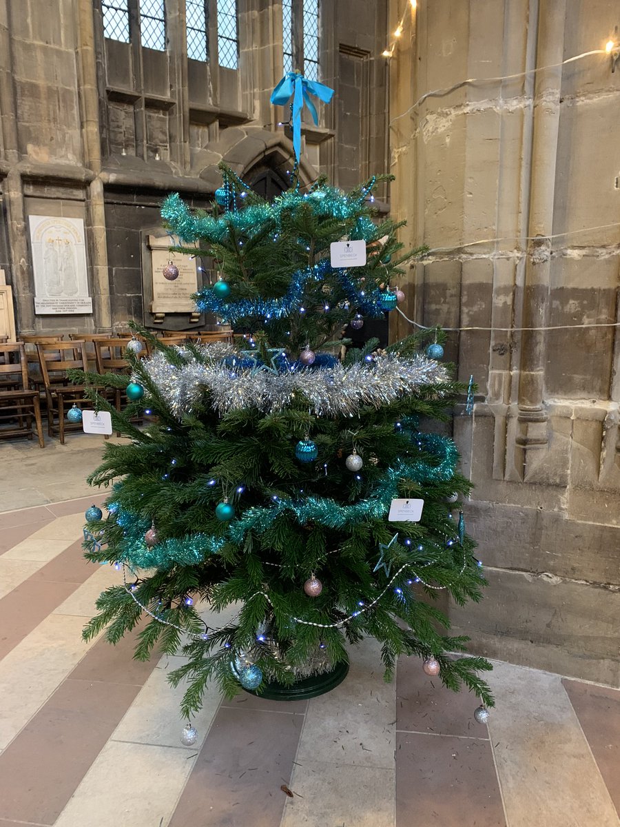 Spenbeck tweet media