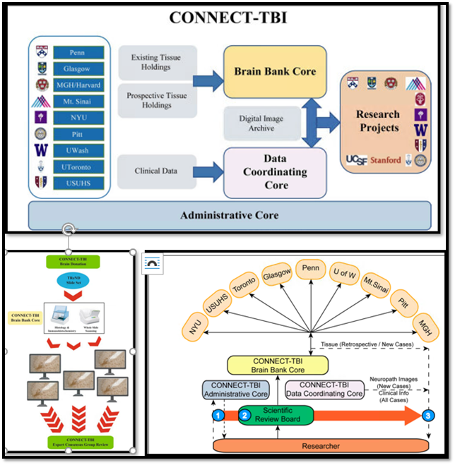 StevenBremMD's tweet photo. Victoria E. Johnson 12.2.21, discussed the TBI consortium, TBI-CONNECT, led by Douglas H. Smith, MD, Robert A. Goff Professor and Director, CBIR. Showing the design of a consortium, viewing CTE /post-traumatic epilepsy as "disconnection" syndromes. #TBI, #CBIR, @PennNSG, @TNRLab https://t.co/aSSbz4p8fH