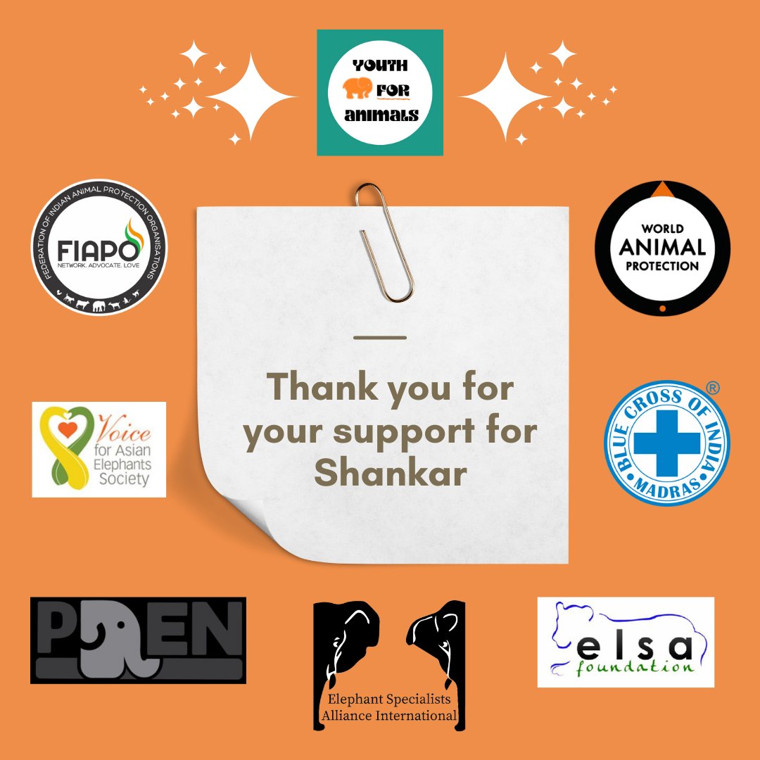 youthforanimals's tweet photo. We at YFA wanted to take this opportunity to thank these organizations that have supported our campaign #FreeShankarDelhiZoo⛓️🐘⛓️ Read more on our campaign page https://t.co/8GnMcW9ynt
@FIAPOIndia @vfaes_org @MoveTheWorldIN @BlueCross_ #ElsaFoundation #ProElephantNetwork #ESAI https://t.co/v23Hj9UmeZ