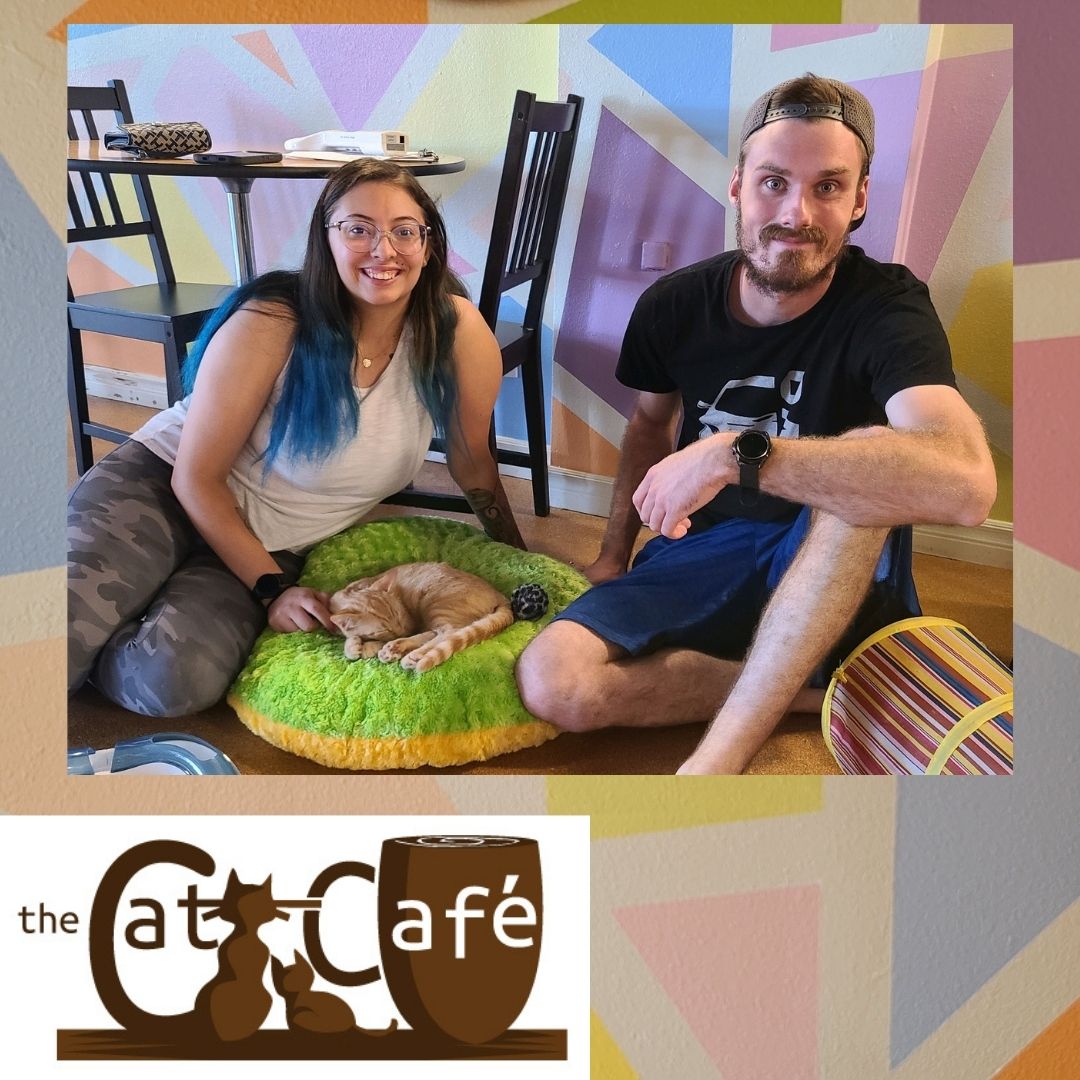 CatCafeSanDiego's tweet image. Lots of learning going on at #fetchdvm360 Let it sink in while you relax with friendly cats. We&apos;re a five minute walk from @SDConventionCtr (cross Harbor at 1st, right on Island, walk to 3rd). Spend time with our cute cats and enjoy award winning locally roasted coffee.