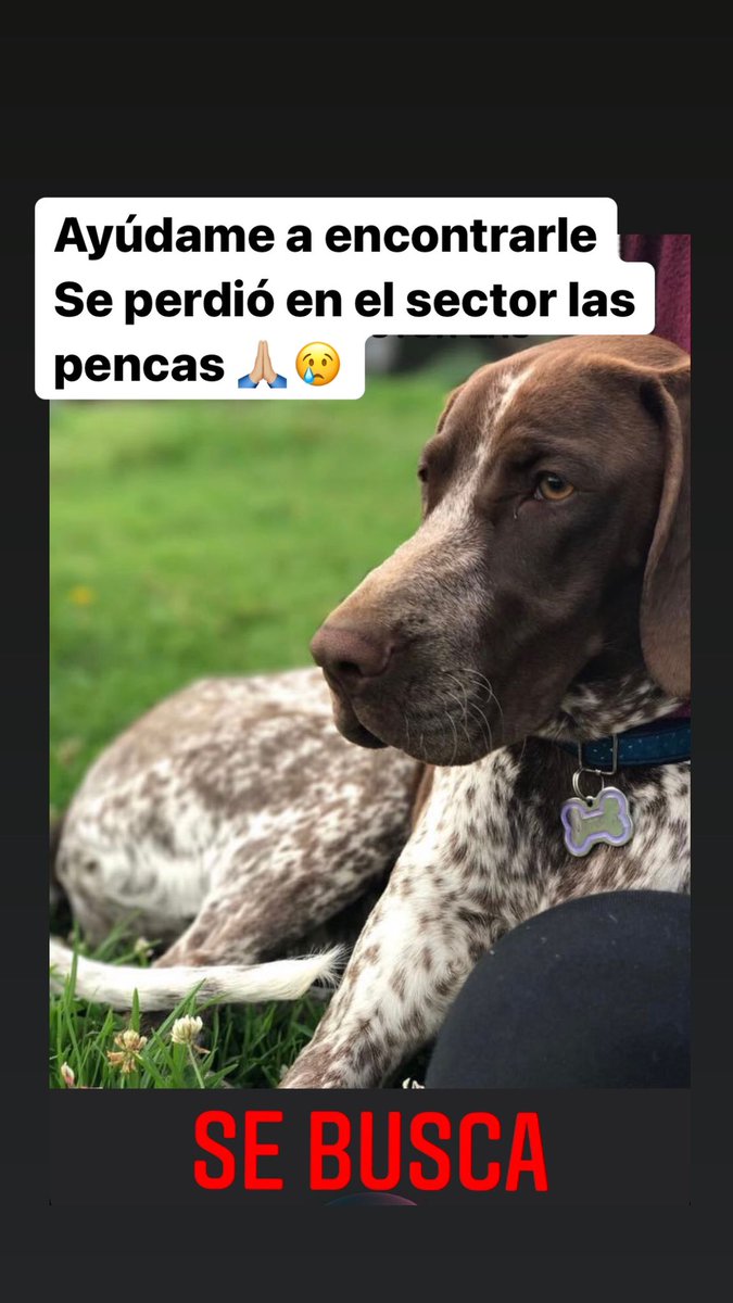 verovasquez1's tweet photo. Ayúdenme a encontrarle 
Info al 0998629231 

Por favor compartir 🙏🏼😢

@tomebamba https://t.co/Xgk4DaVtFH