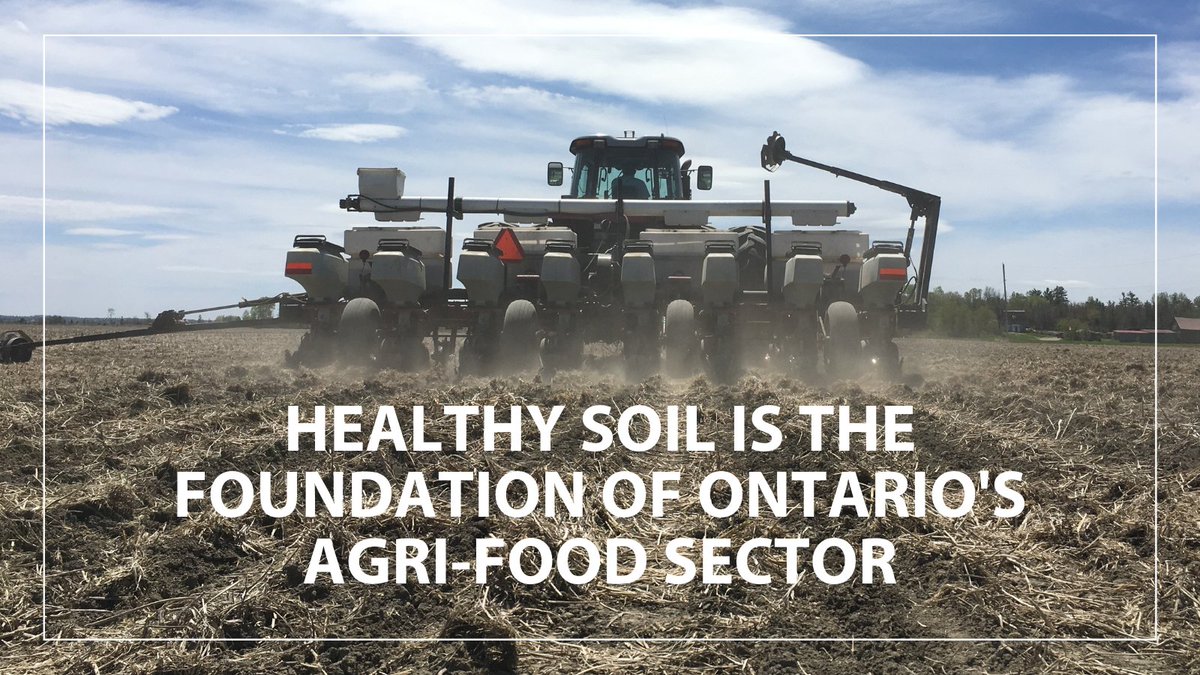 This Sunday is #WorldSoilDay. Learn how Ontario farmers address economic and soil health challenges on their farms, each with a unique approach, and to see how they’re prioritizing soil health on the land they care for.

farmfoodcareon.org/farming-and-th…