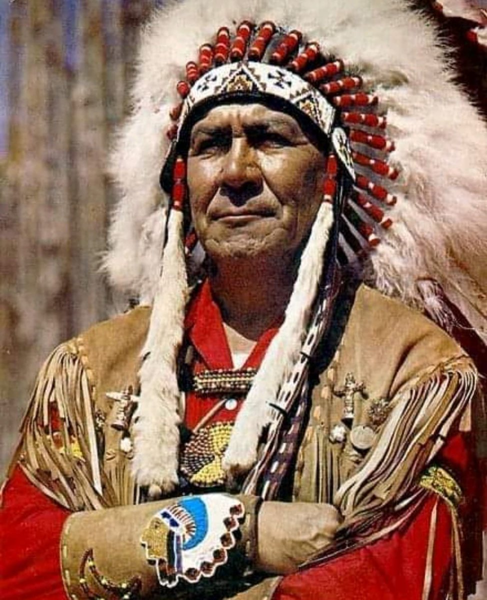 Коренное население северной америки эскимосы и индейцы. Коренные жители Канады индейцы. Канада индейцы алеуты. Индейцы Северной Америки. Индеец Чингачгук.