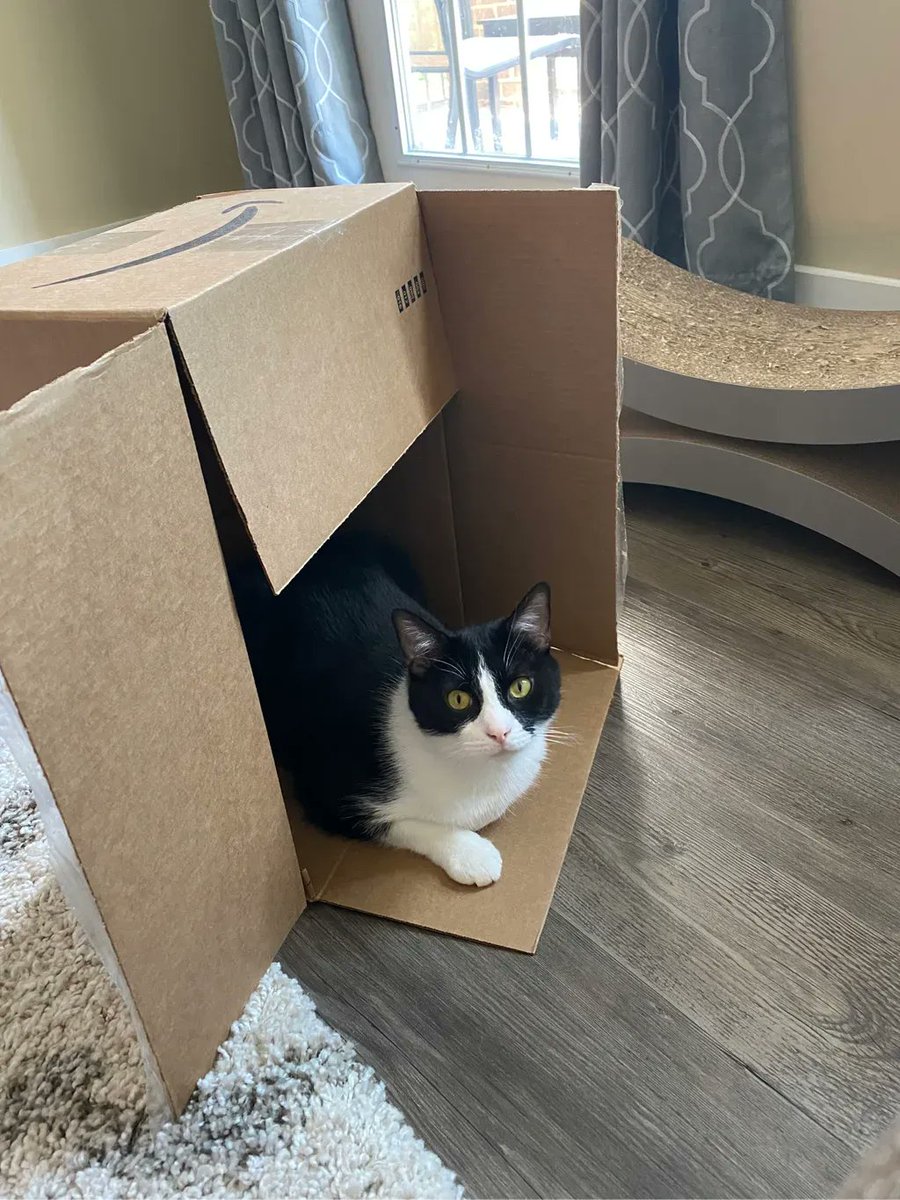 Cody Bryant tweet media