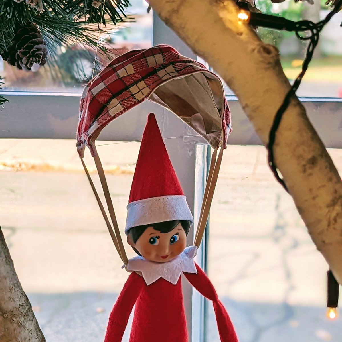 Peppermint arrived! Who knew that the handmade, all cotton face masks by @janettefilbert can also be used as elf parachutes? 🪂

#nutleyelfcrawl #elvesofnutley #clothfacemask